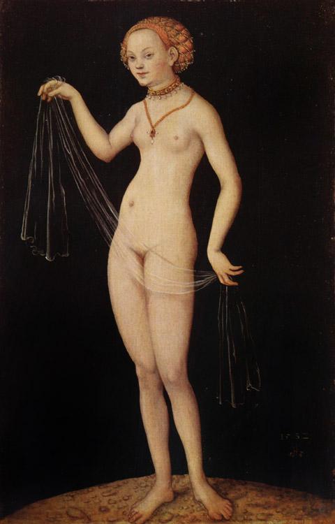 CRANACH, Lucas the Elder Venus (nn03) oil painting image